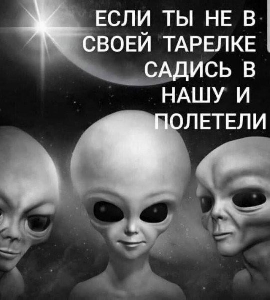 Мем, Bassplayer Мем, Bassplayer