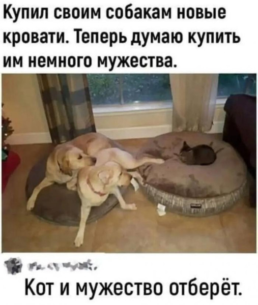 Мем, Антиклептократ Мем, Антиклептократ