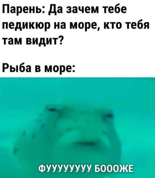 Мем, Антиклептократ Мем, Антиклептократ