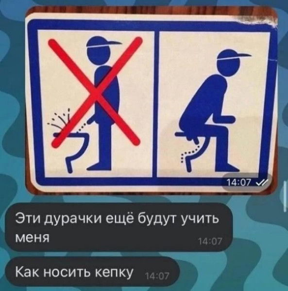 Мем, Антиклептократ