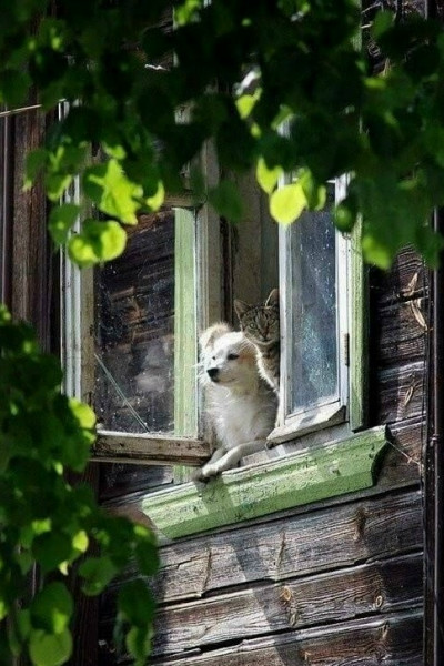 Мем, Александр Скоро Мем, Александр Скоро