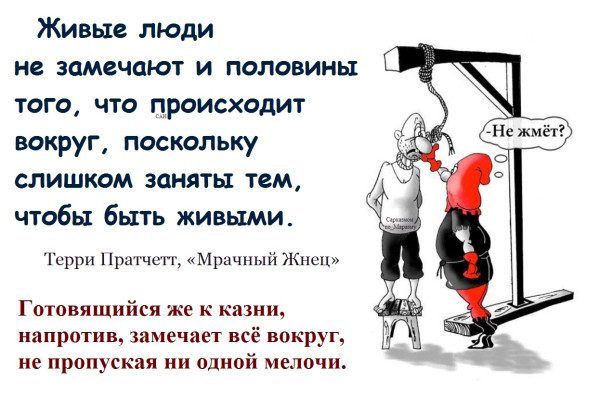 Мем, Александр САН