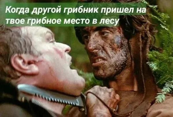 Мем, Bassplayer