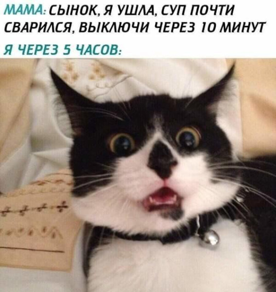 Мем, Антиклептократ