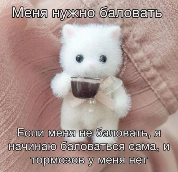 Мем, Антиклептократ
