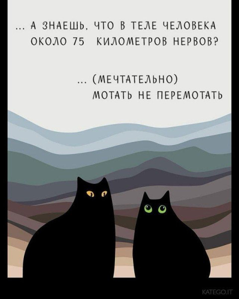 Мем, Антиклептократ