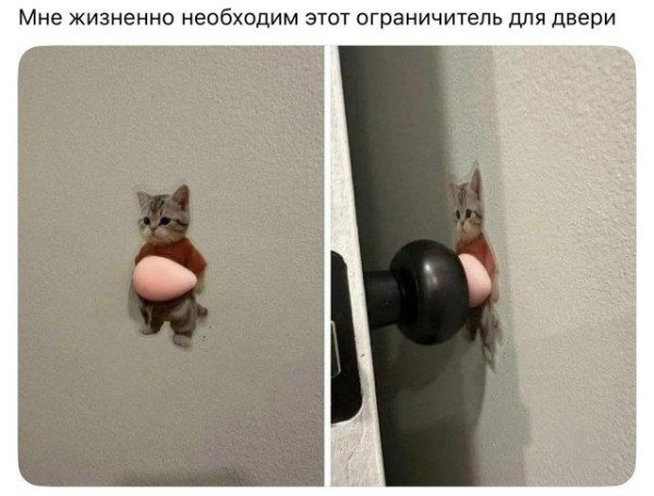 Мем, Антиклептократ
