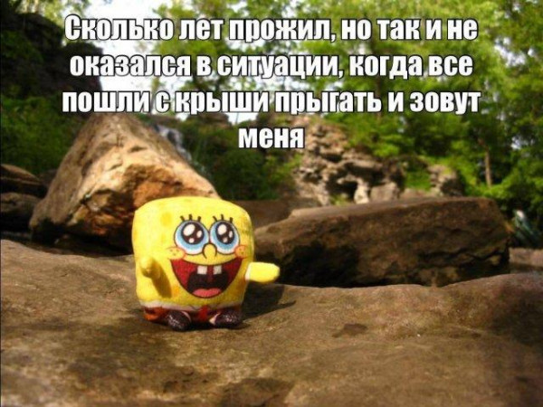 Мем, Bassplayer
