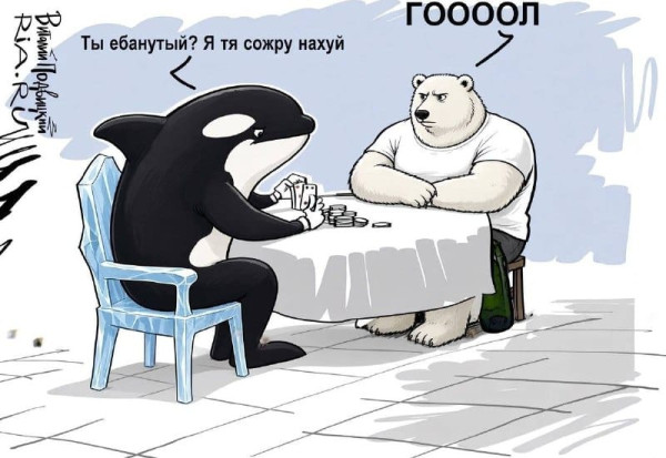 Мем, FDio