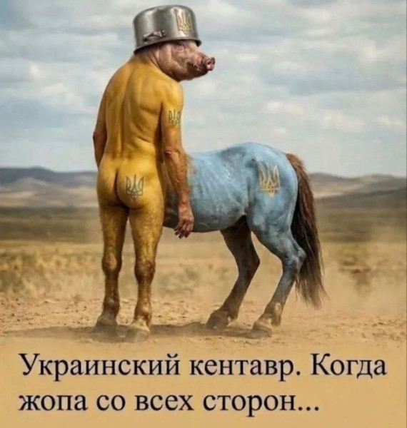 Мем, Максим Камерер Мем, Максим Камерер