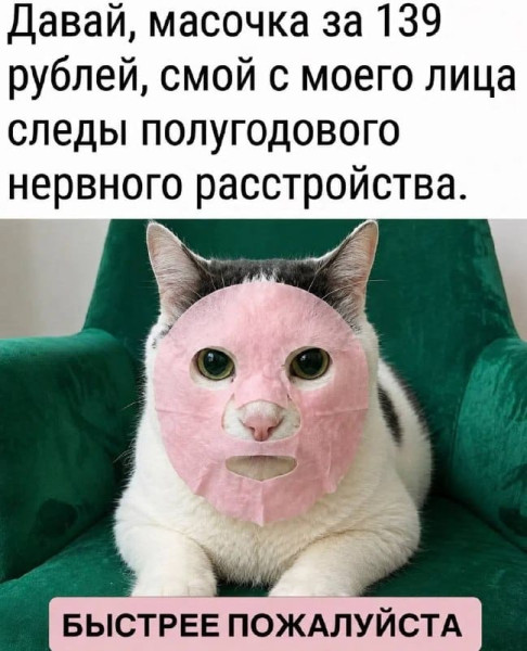 Мем, FDio Мем, FDio