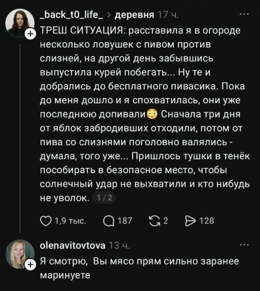 Мем, Ashmedai Мем, Ashmedai