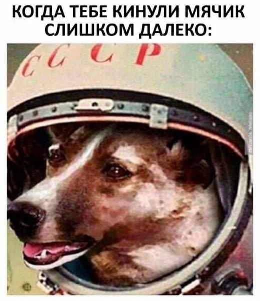 Мем, Bassplayer Мем, Bassplayer