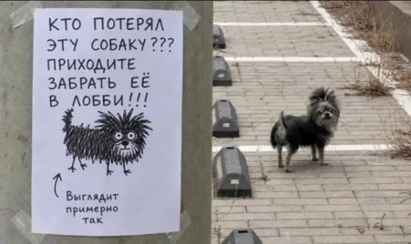 Мем, Mghost Мем, Mghost