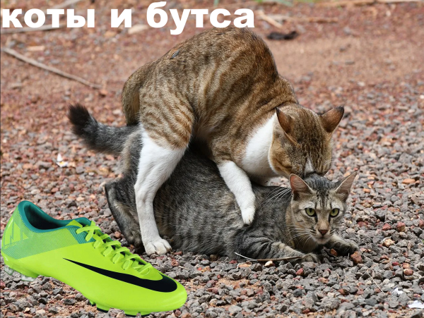 Мем Мем