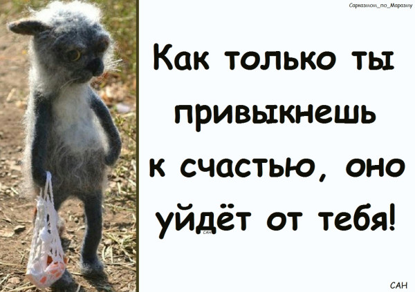 Мем, Александр САН Мем, Александр САН