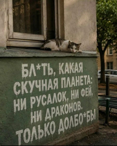 Мем, Ashmedai Мем, Ashmedai