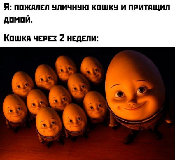 Мем, Антиклептократ Мем, Антиклептократ