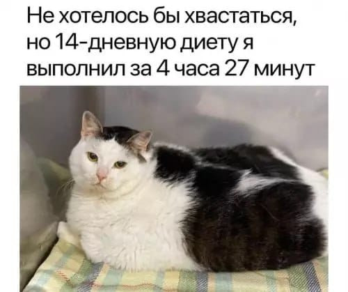Мем, Diogenes