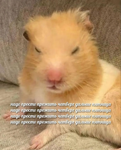 Мем, Лешак38