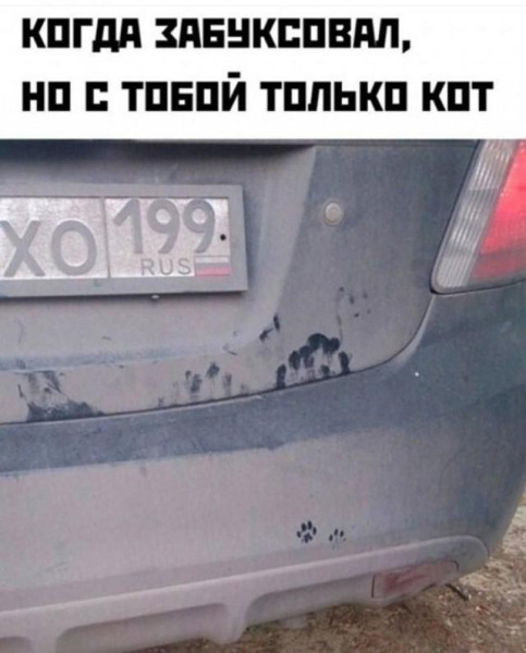 Мем, Антиклептократ