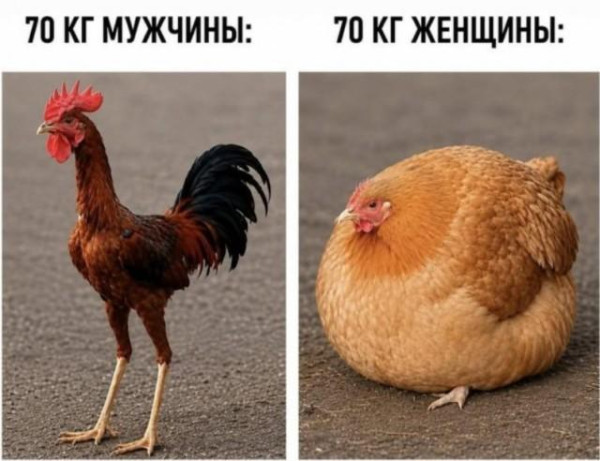 Мем, Антиклептократ