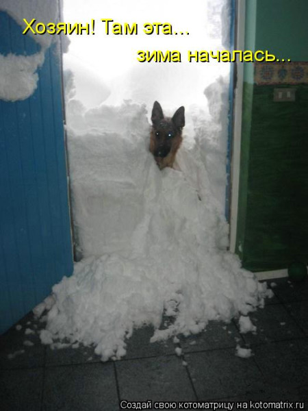 Мем: Хозяин! Там эта... зима началась..., Ричисофт