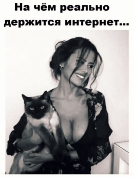 Мем: Юмор, iteam