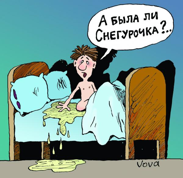 Карикатура: Была ли снегурочка, Владимир Иванов (VOVA)