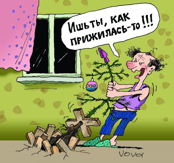 Карикатура: Прижилась, Владимир Иванов (VOVA)