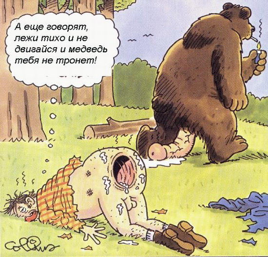 Карикатура: Медведь, Дмитрий