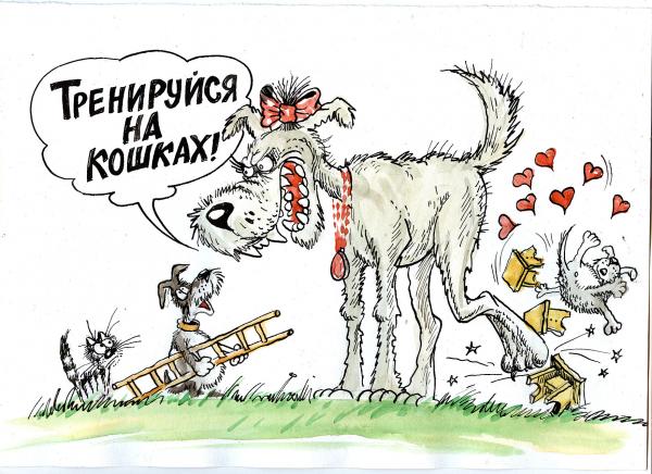 Карикатура: сучка, Избасаров Бауржан