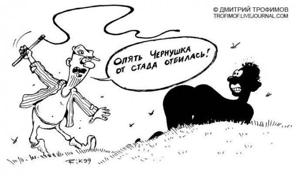 Карикатура: Чернушка отбилась, Трофимов Дмитрий