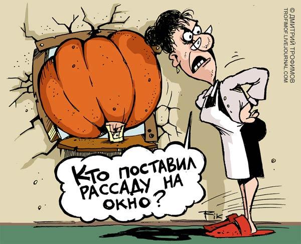 Карикатура: РАССАДА, Трофимов Дмитрий