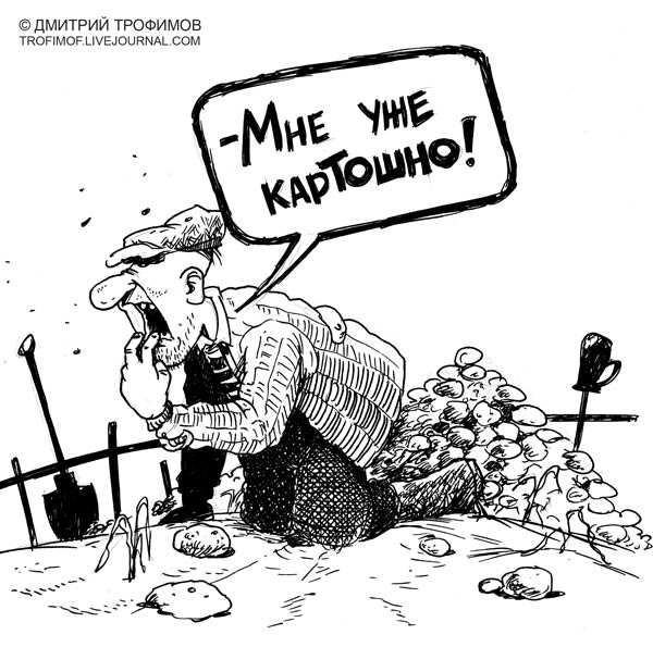 Карикатура: Картошка, Трофимов Дмитрий