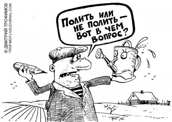 Карикатура: Рязанский Гамлет, Трофимов Дмитрий