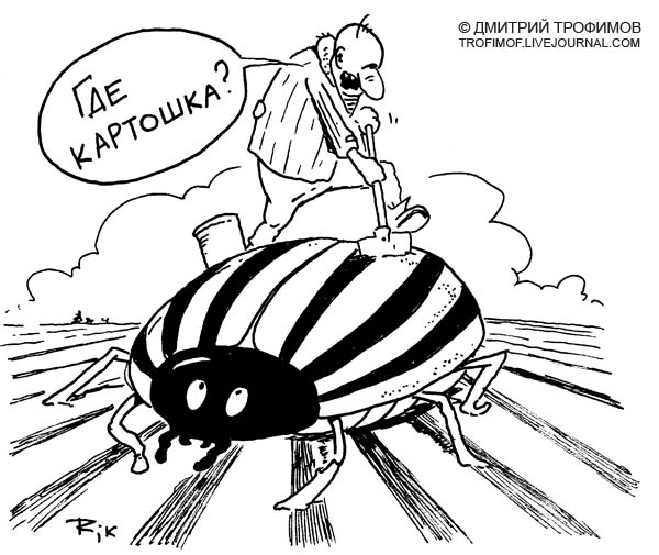 Карикатура: Генномодифицированый, Трофимов Дмитрий