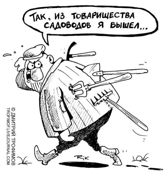 Карикатура: Обида, Трофимов Дмитрий