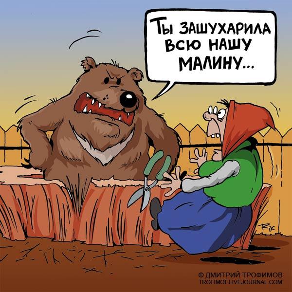 Карикатура: И перо за это получай!, Трофимов Дмитрий