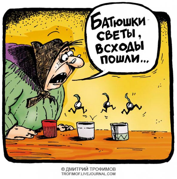 Карикатура: Саженцы, Трофимов Дмитрий