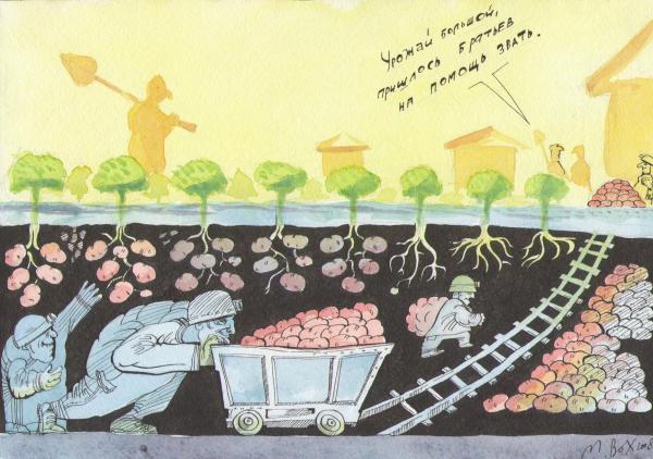 Карикатура: урожай., михаил ворожцов