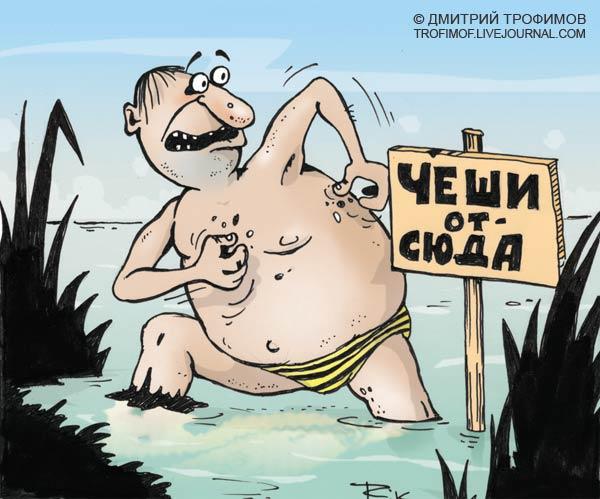 Карикатура: Чеши от сюда!, Трофимов Дмитрий