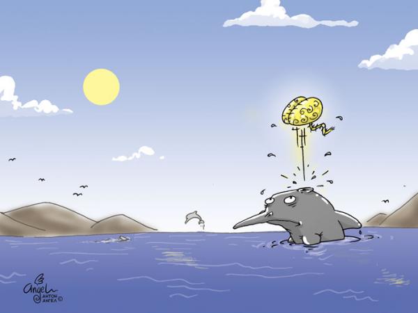 Карикатура: Дельфин, АнтонАнгел