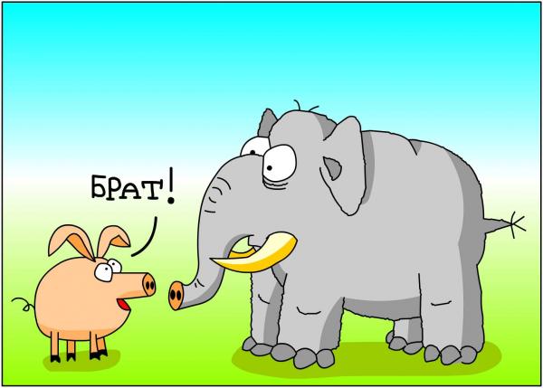 Карикатура: Брат, Дмитрий Бандура