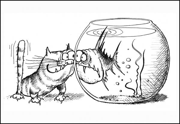 Карикатура: Кот и пиранья, Валерий Дмитриев