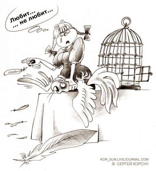 Карикатура: Любит, не любит, Сергей Корсун