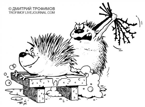 Карикатура: С веничком, Трофимов Дмитрий